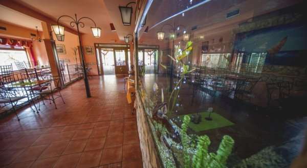 El Camino Hotel