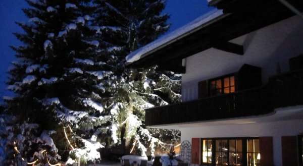 Alpenfewo