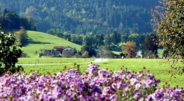 Alpengästehaus Marzoll