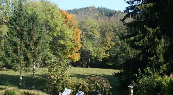 Apartment Altes Forsthaus 1