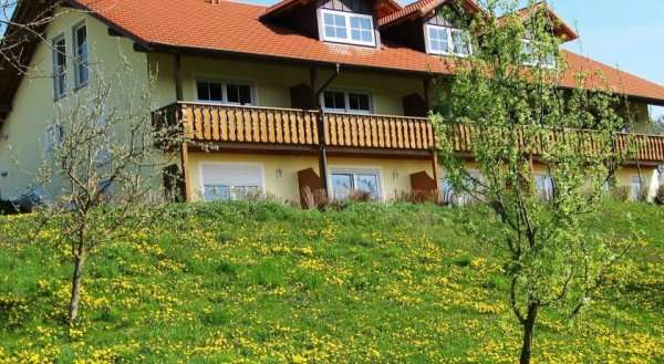 Apartment Am Ferienhof 3