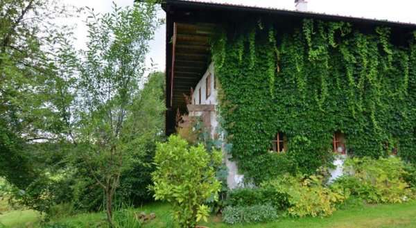 Apartment Am Künstlerhof 2