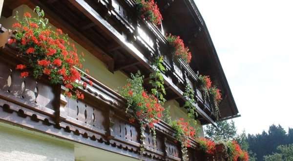 Apartment Gästehaus Pernull 3
