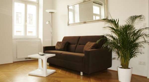 Apartment Goldschlagstrasse