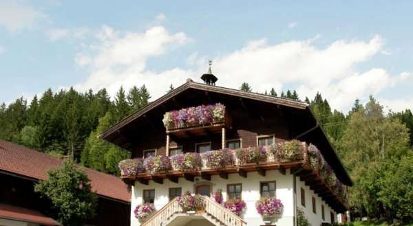 Apartment Tanja 1