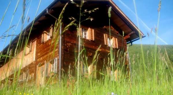 Almhütte Gorgasser