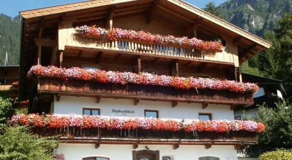 Alpbachblick