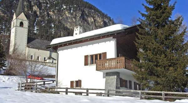 Albula