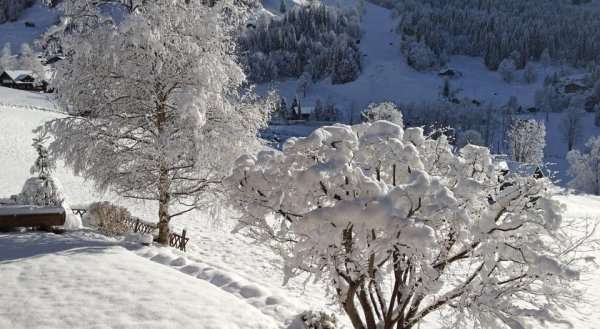 Apartment Bargsunna Grindelwald