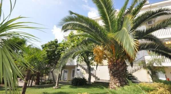 Apartment Bokas Perla