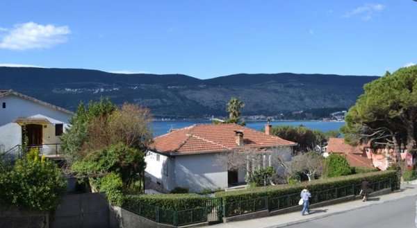 Apartment Ivovic