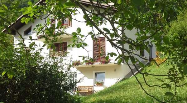 Apartment Zadraga