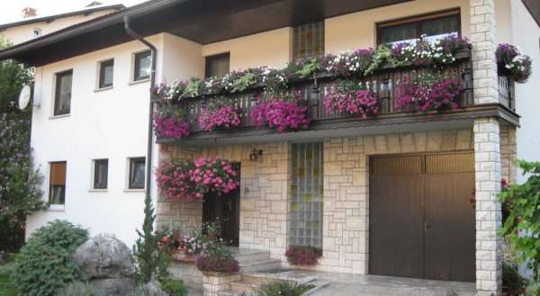 Apartment Žvab