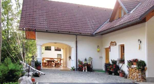 Apartment Preddvor 15