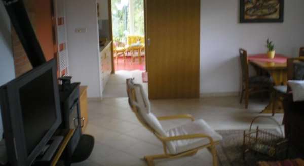 Apartment Pri Vrtnici