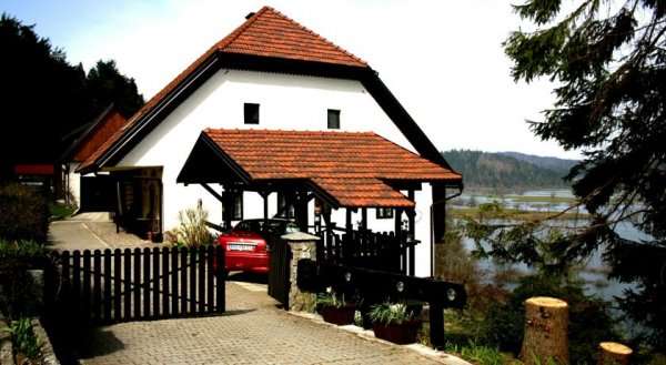 Apartment Šefic