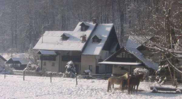 Apartments Gubanec