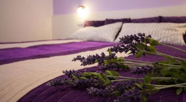 Apartments Lavanda & Cappuccino
