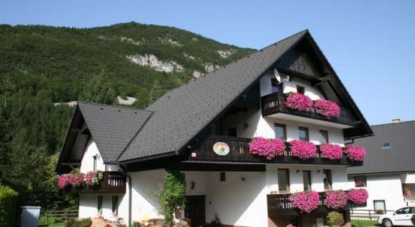 Apartments Maja