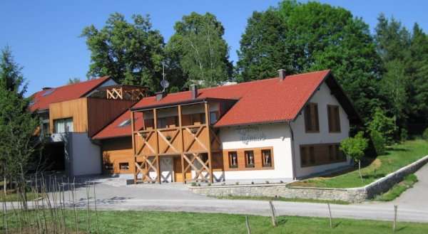 Apartments Malerič