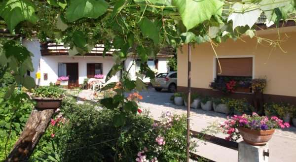 Apartments Mihelčič