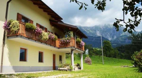 Apartment Kozjak
