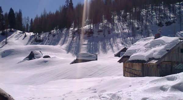 Chalet Bivalna Hiška