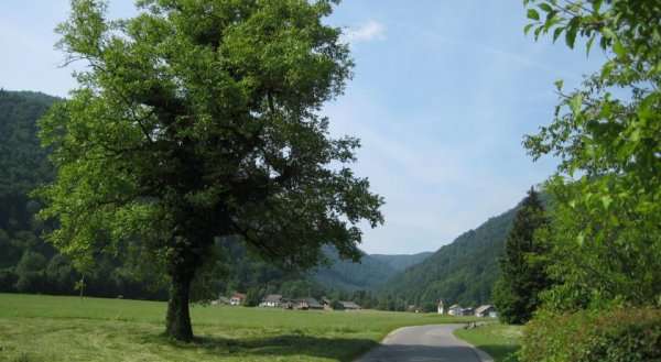 Chalet Iskaretreat