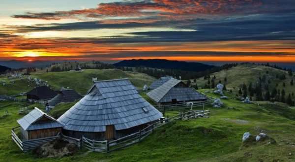 Chalet Zlatica Velika Planina