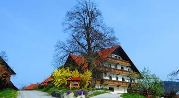 Country House Apat