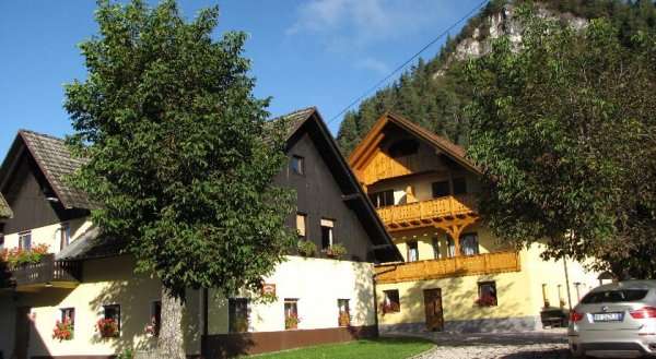 Farm Holidays Povsin