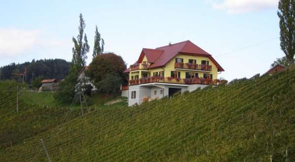 Farm Stay Jarc Vineyard