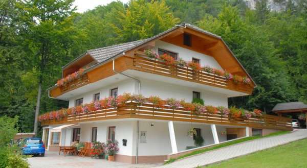Fine Stay Apartment