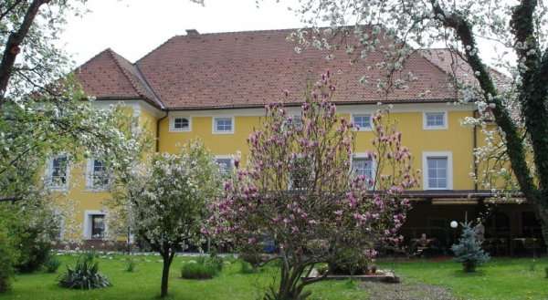 Guest House Čater