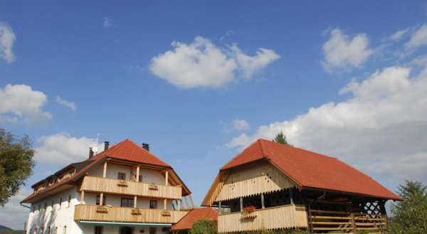 Guesthouse Novak