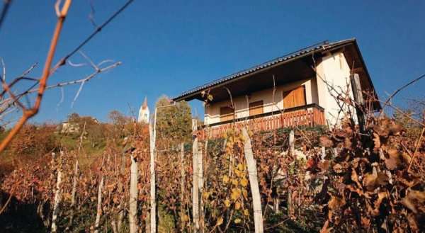 Holiday home Metlika 22