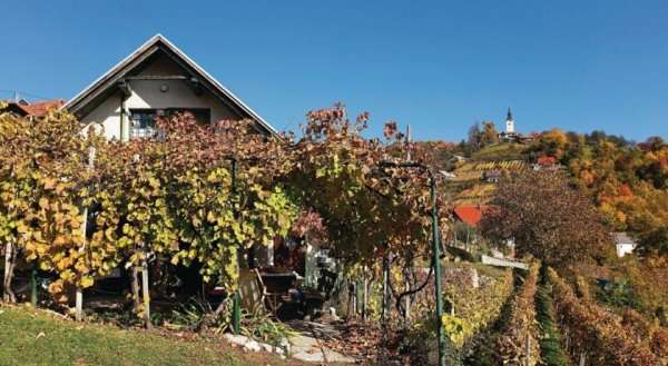 Holiday home Otocec 46