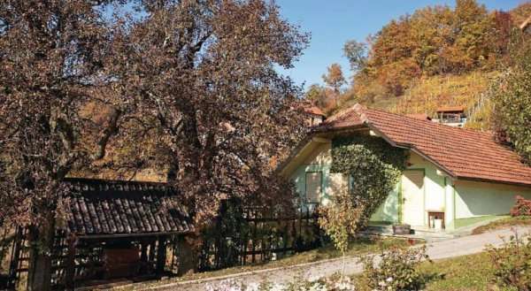 Holiday home Sentrupert 29