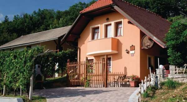 Holiday home Skocjan 28