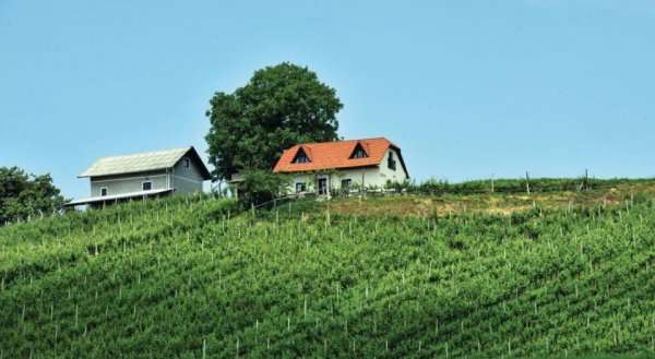 Holiday home Smarje pri Jelsah 47