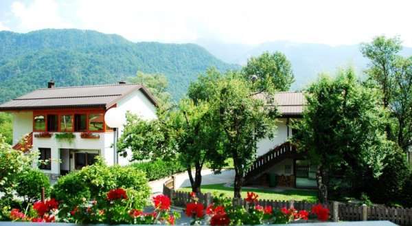 Homestay Budget