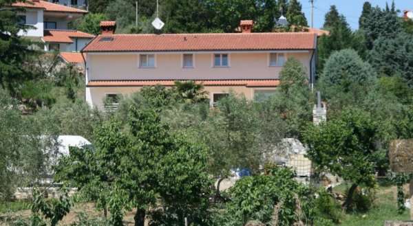 Rooms & Apartments Giulia