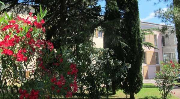 Študentski dom Jadro