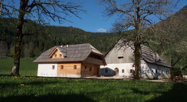 Tourist farm Šenkova domačija