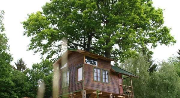Tree House Ramona