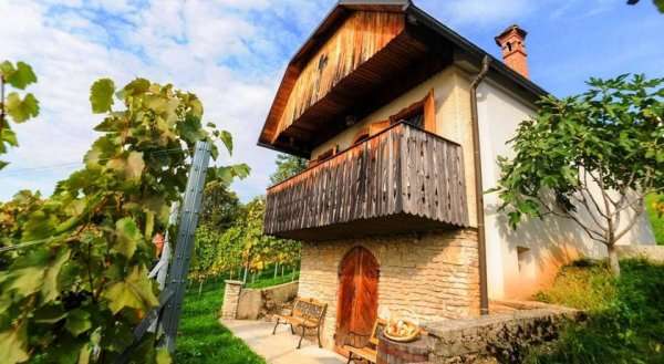 Vineyard cottage Rangus Romantic