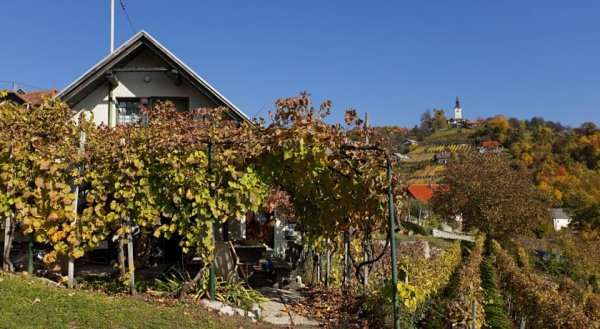 Vineyard Cottage Vercek