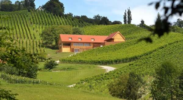Wine & Tourisam Valdhuber Apartments