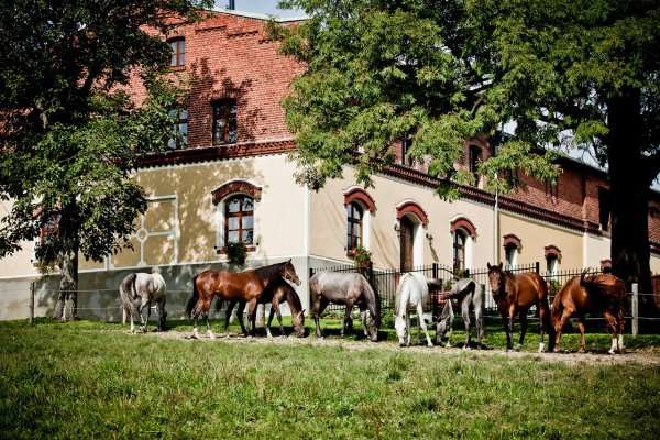 Pension Rothschildův dvůr