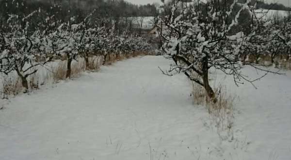 Agropenzion Lhotka